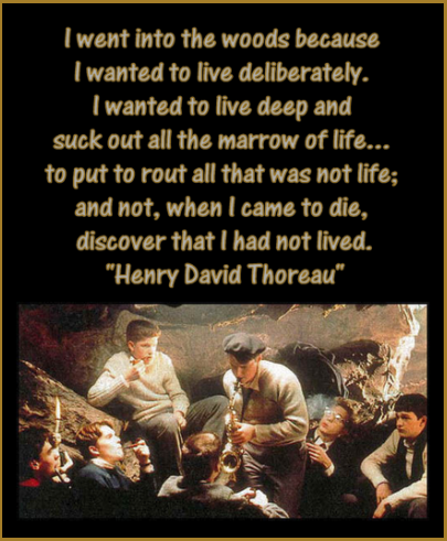 I went into the woods because I wanted to live deliberately. I wanted to live deep and suck out all the marrow of life... to put to rout all that was not life; and not, when I came to die, discover that I had not lived. - Henry David Thoreau